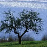 Апарт-отель Landfein 4*