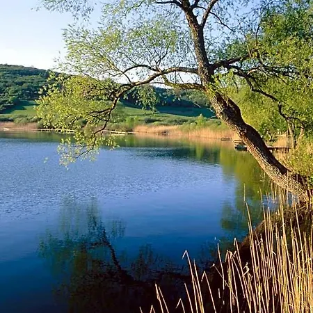 Landfein
