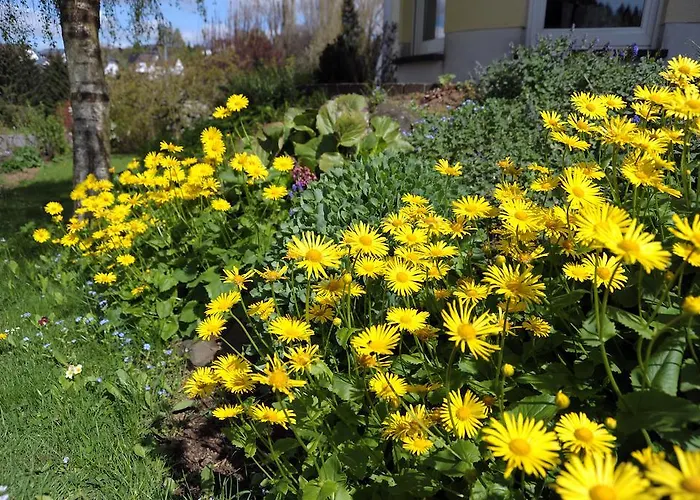 Apart-hotel Landfein 4*