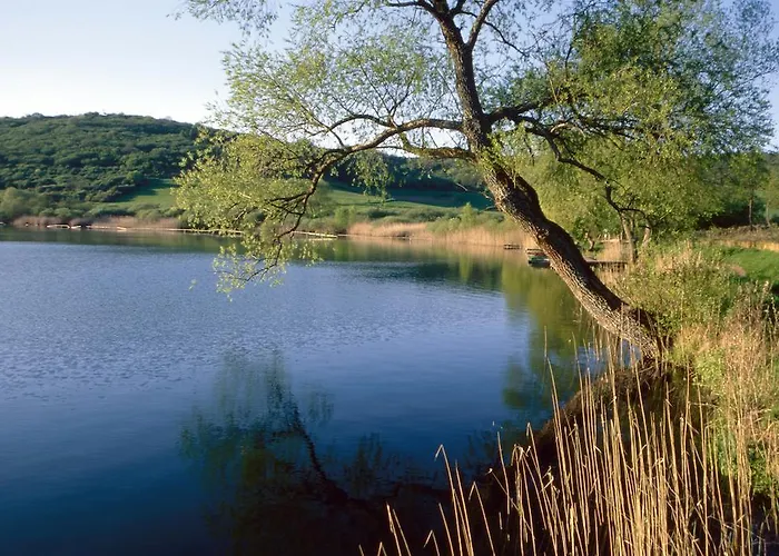 Apart-hotel Landfein 4*