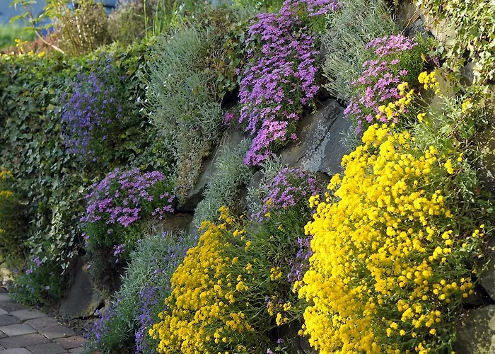 Apart-hotel Landfein 4*